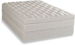 Somatic Sleep Memory Foam Mattress