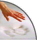 visco elastic memory foam